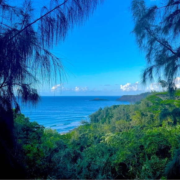 Meet your Posher, Lauren - Picture 1 of 1